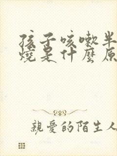 孩子咳嗽半夜发烧是什么原因