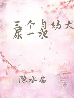 三个月幼犬多久尿一次