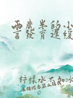 两岁半的小孩语言发育迟缓怎么办