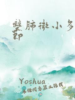 双肺微小多发结节