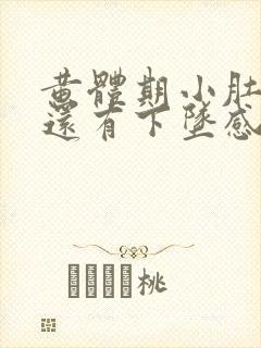 黄体期小肚子疼还有下坠感怎么回事