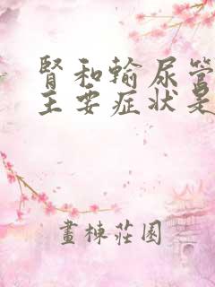 肾和输尿管结石主要症状是