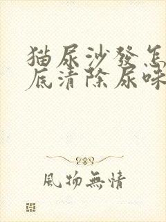 猫尿沙发怎么彻底清除尿味