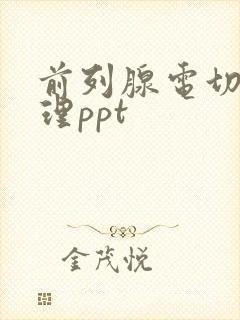 前列腺电切术护理ppt