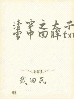 清穿之太子娇妃雪中回眸txt