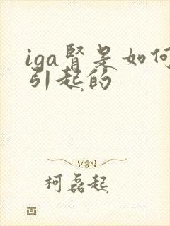 iga肾是如何引起的