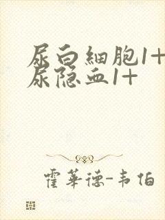 尿白细胞1+ 尿隐血1+