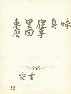 车里腥臭味是怎么回事