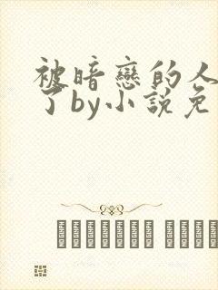 被暗恋的人俘虏了by小说免费阅读