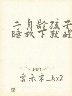 二月龄孩子抱着睡放下就醒什么原因