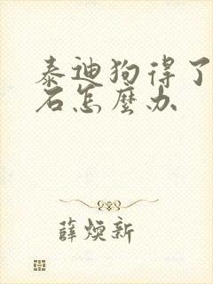 泰迪狗得了尿结石怎么办