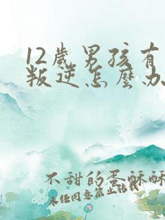 12岁男孩有点叛逆怎么办