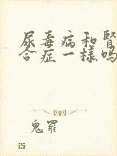 尿毒病和肾病综合症一样吗