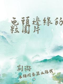 龟头边缘的小肉粒图片