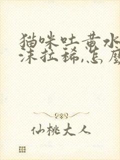 猫咪吐黄水有泡沫拉稀,怎么办?