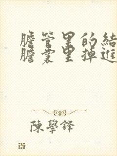 胆管里的结石是胆囊里掉进去的吗