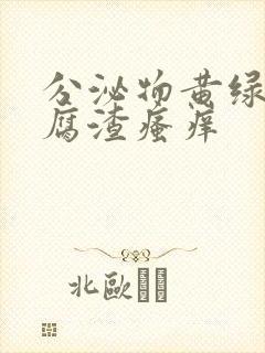 分泌物黄绿色豆腐渣瘙痒