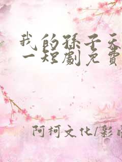 我的孙子天下第一短剧免费观看