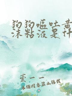 狗狗呕吐黄水泡沫粘液是什么原因