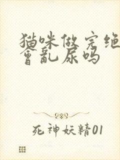 猫咪做完绝育还会乱尿吗