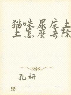 猫咪尿床上被子上怎么去除尿味