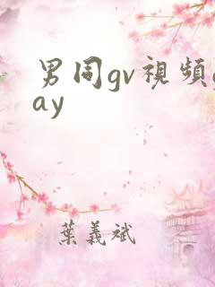 男同gv视频gay