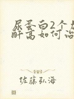 尿蛋白2个加肌酐高如何治疗