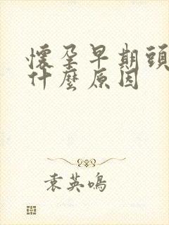 怀孕早期头晕是什么原因