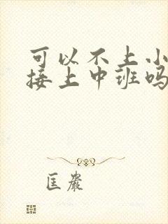 可以不上小班直接上中班吗