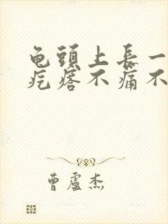 龟头上长一个小疙瘩不痛不痒