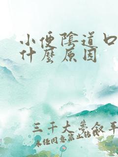 小便阴道口刺痛什么原因