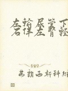 左输尿管下段结石伴左肾轻度积水