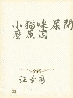 小猫咪尿闭是什么原因