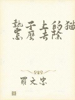 垫子上的猫尿味怎么去除