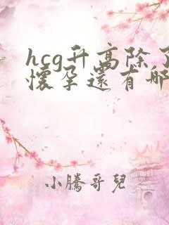 hcg升高除了怀孕还有哪些原因