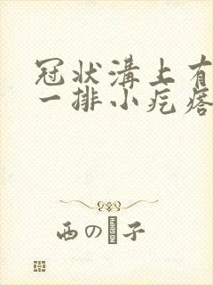 冠状沟上有一些一排小疙瘩