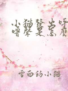 小猫发出呼噜呼噜声是怎么回事?