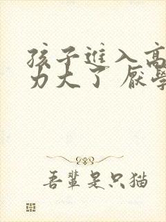 孩子进入高中压力大了 厌学怎么办