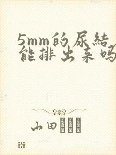 5mm的尿结石能排出来吗