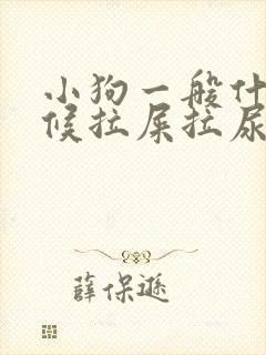 小狗一般什么时候拉屎拉尿