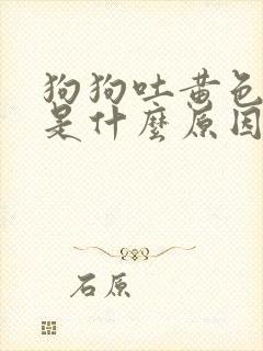 狗狗吐黄色液体是什么原因