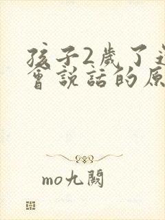 孩子2岁了还不会说话的原因