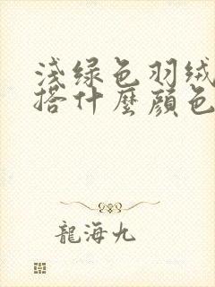 浅绿色羽绒服内搭什么颜色