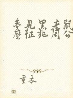 梦见黑老鼠是什么征兆周公解梦