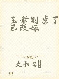 王爷别虐了王妃已改嫁