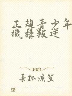 正规青少年管教机构叛逆