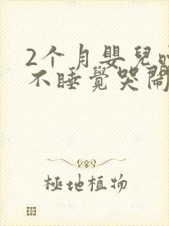 2个月婴儿晚上不睡觉哭闹什么原因