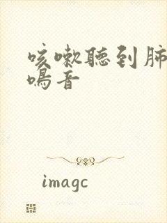 咳嗽听到肺部有鸣音