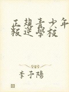 正规青少年管教叛逆学校