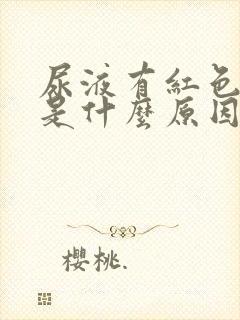 尿液有红色颗粒是什么原因